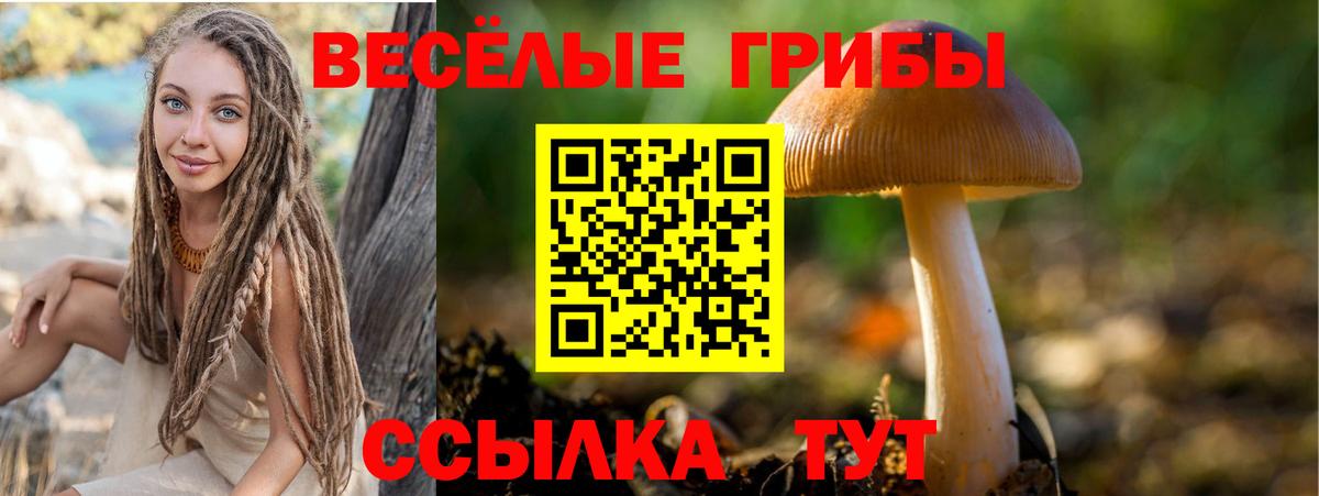 Псилоцибиновые грибы прущие грибы Биробиджан